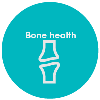 la salud ósea
