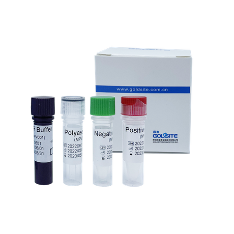 Kit de PCR para el virus de la viruela del mono (MPXV)
